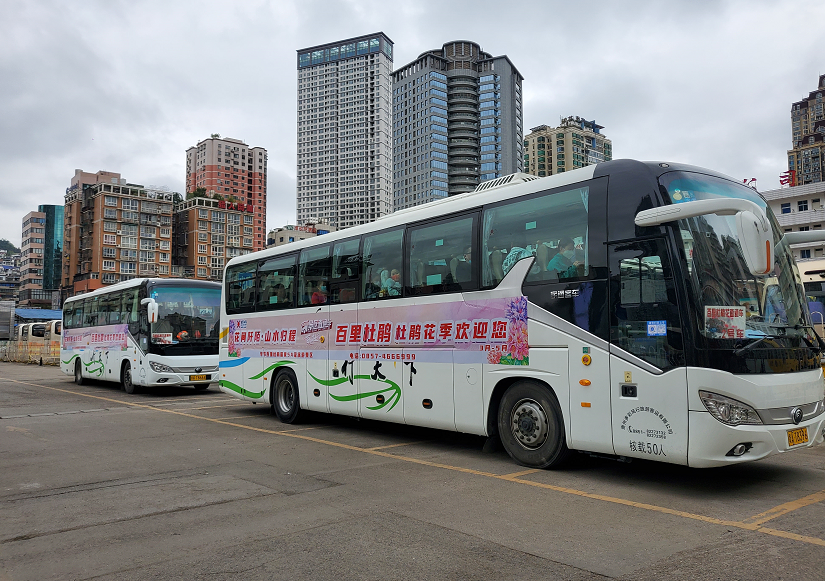 首趟专线直通车发车贵州百灵文旅集团推出百里杜鹃景区直通车