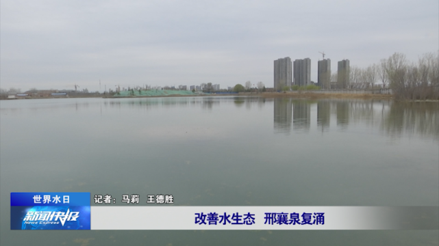 【世界水日】改善水生态 邢襄泉复涌|水生态|狗头泉|黑龙潭|百泉|世界