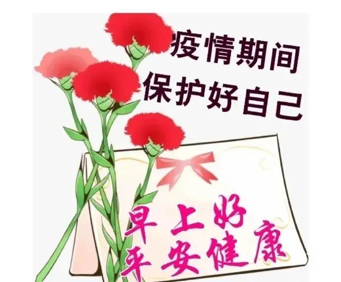 春天创意的早安高清鲜花图片带字新的一天早上好问候专辑精选