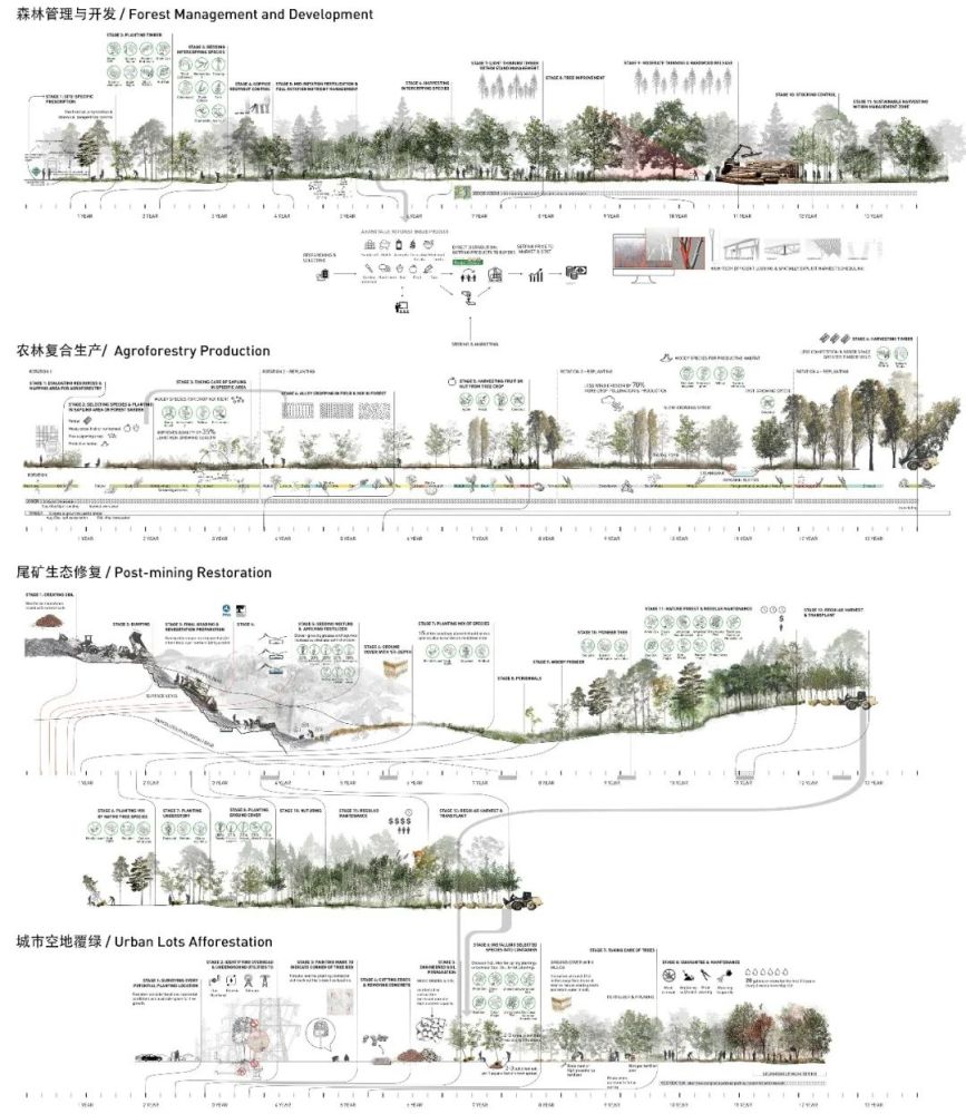 mapping到底是什么