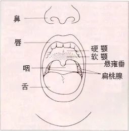 超50万人研究常吃辣能抵抗口咽肿瘤