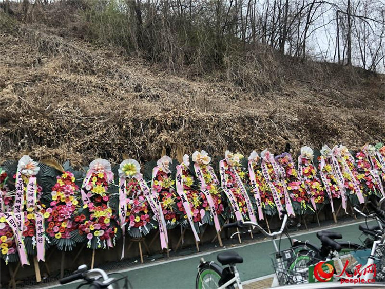 韩国前总统朴槿惠出院 将回家乡大邱居住