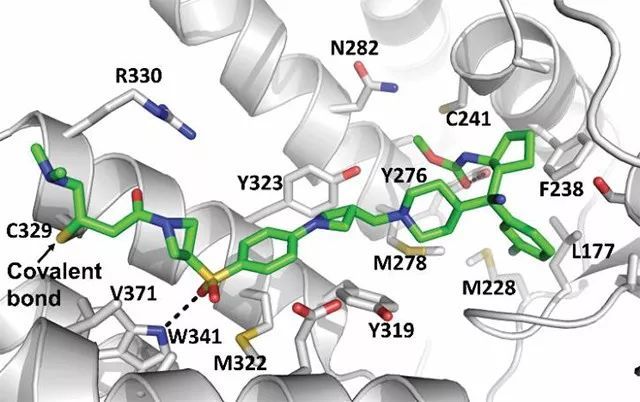 首先,分子中的丙烯酰胺基团与 menin 蛋白上 cys329 的硫原子形成共价