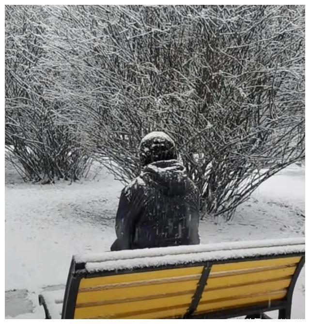 艺术家潘长江风波后首次露面自己在雪中漫步满脸疲惫神情落寞
