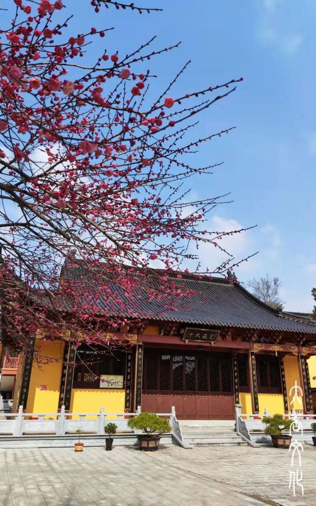 左右滑动查看更多- 47 -常熟兴福禅寺(飞来鹰 摄)- 48 -大理圣源寺