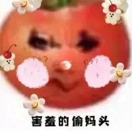 表情包偷妈头tomato搞怪表情包