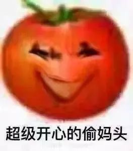 表情包偷妈头tomato搞怪表情包