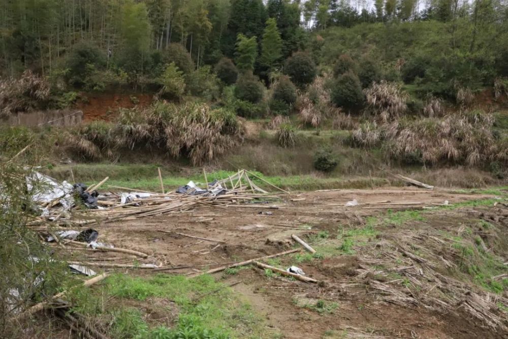 遏制耕地非农化非粮化耕地变猪栏鸭棚拆坚决遏制耕地非农化非粮化