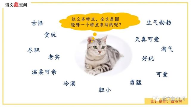 统编语文四下《猫》教学设计与课件图片分享