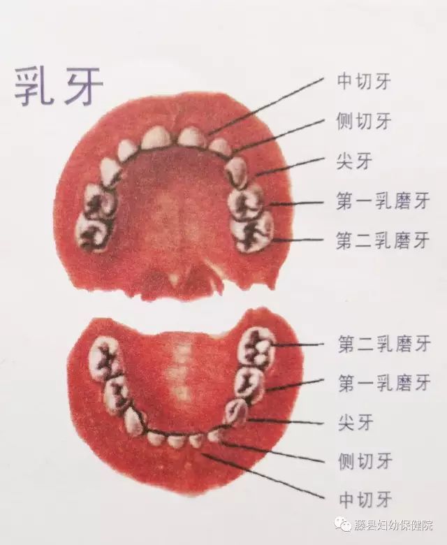 你真的了解吗?_腾讯网