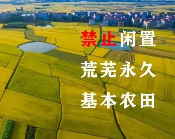 【加强耕地保护遏制"非农化"防止"非粮化"行为专项整治"四个禁止"