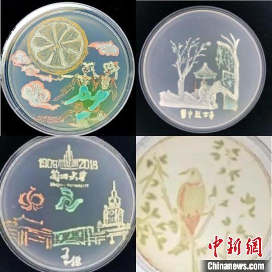 多次参加微生物绘画大赛的王瑶佳是该校2018级生物萃英班的同学.