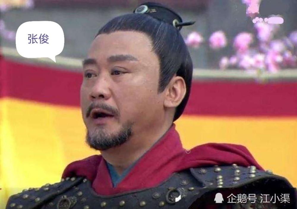 1135年,宋高宗与军中统帅计划倾全国之力北伐伪齐刘豫,后因刘光世的阳