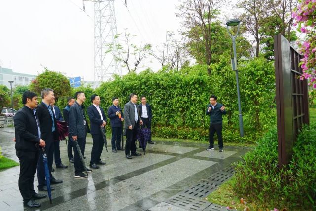 听民声汇民智张槎联组政协委员走进王借岗森林公园进行专题调研