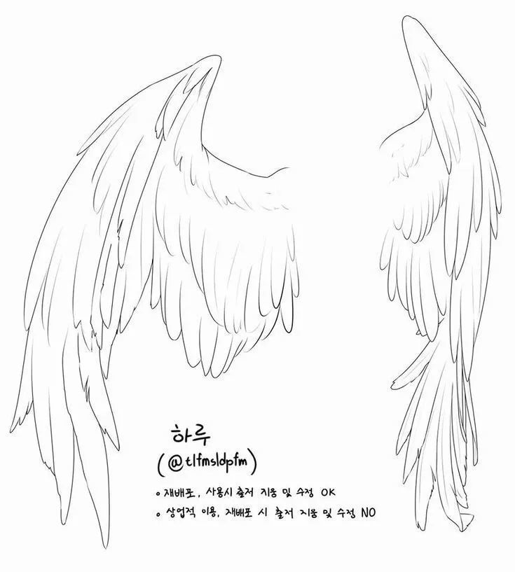 绘画素材翅膀的动态与画法分享这组翅膀素材绝了