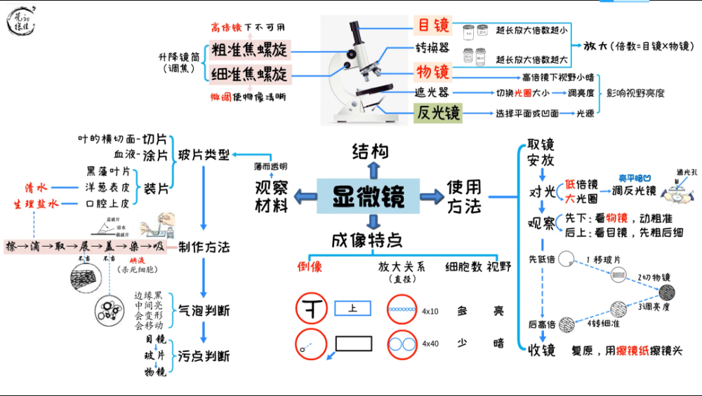 思维导图20版03显微镜