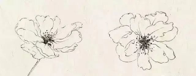 书画联盟丨工笔海棠花的画法