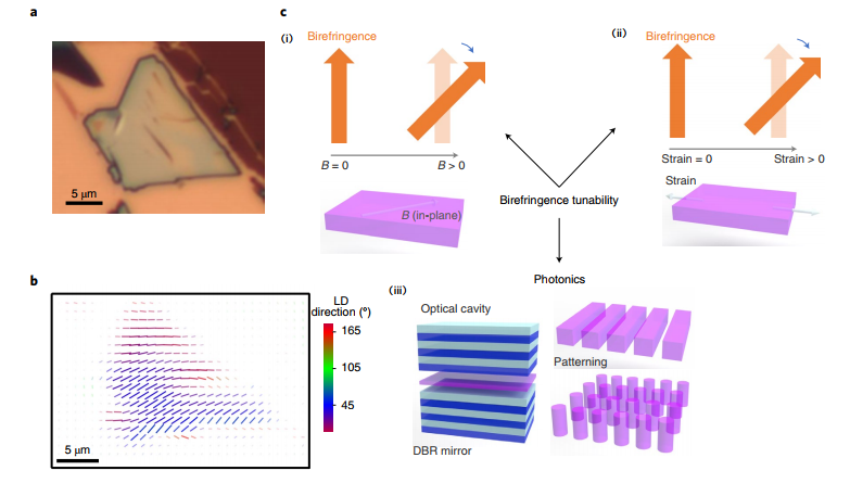 Nature Photonics