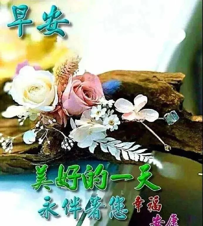 虎年祝福语最美早上好问候语温馨短句早上好祝福优美短句漂亮春天早安