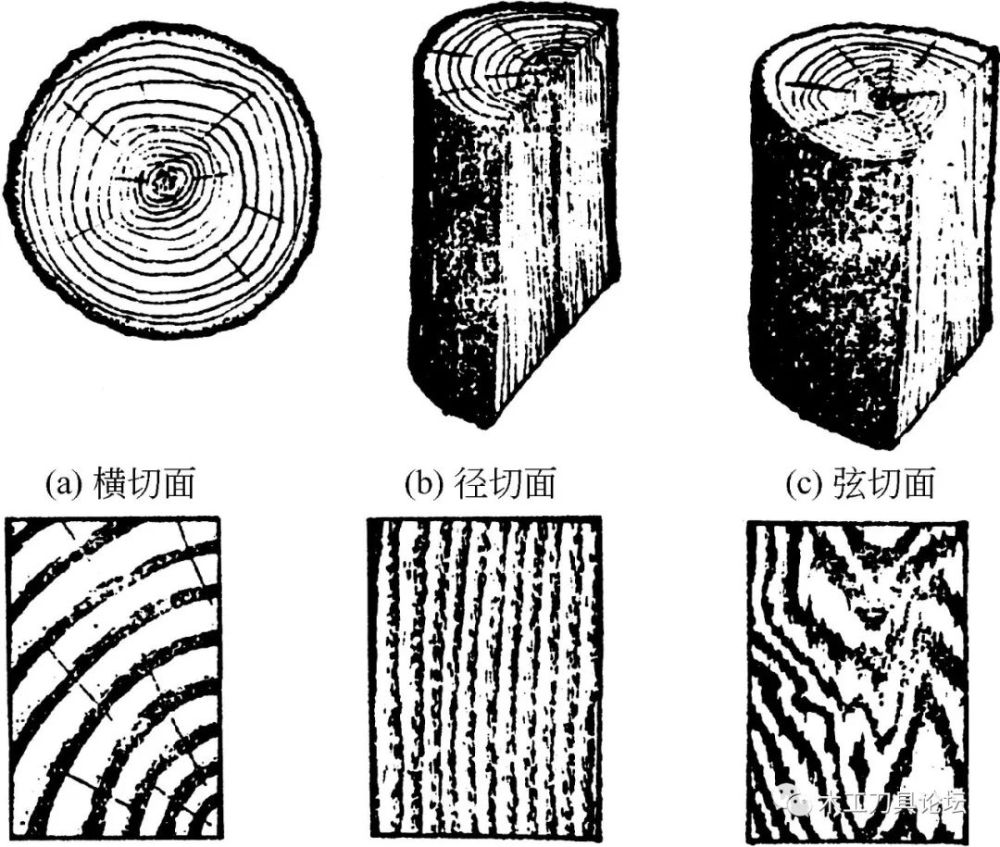 木材的裂纹种类与斜纹知识