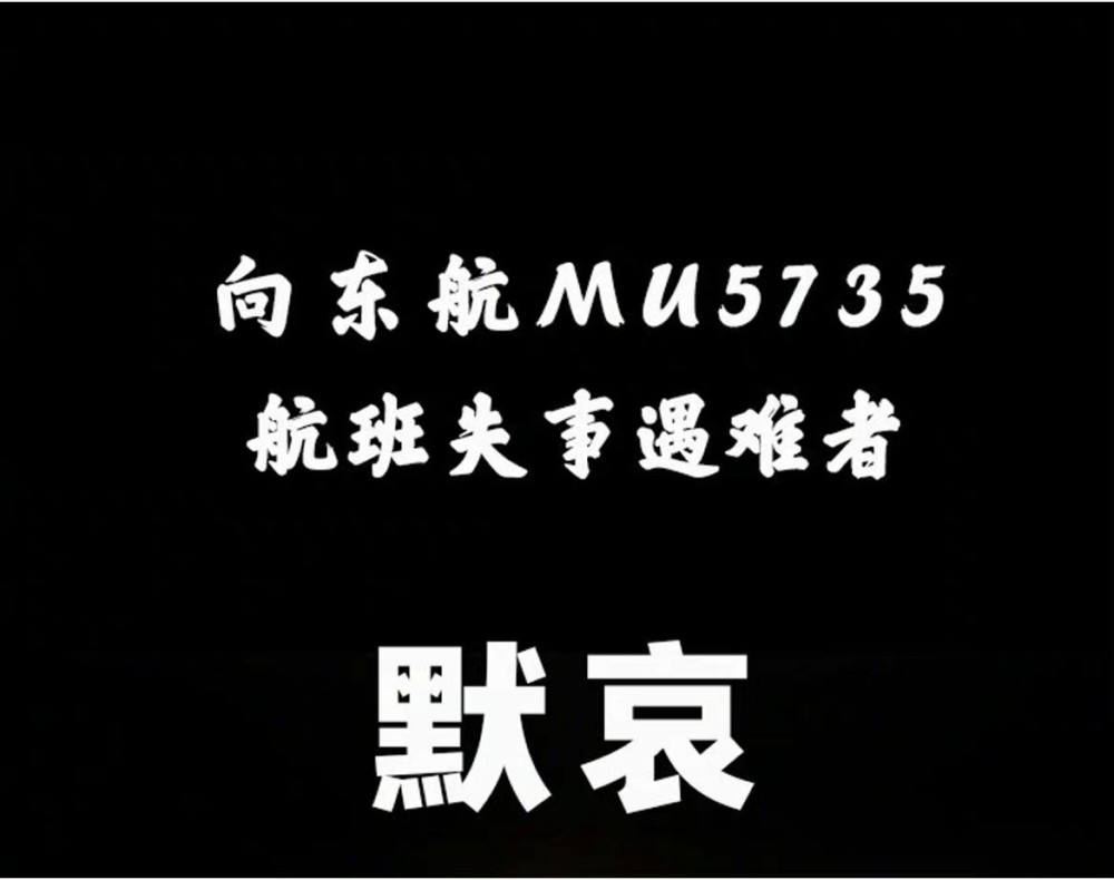 深表慰问波音向东航失事客机人员致以最深切哀悼正支持调查