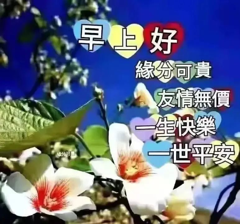 春天有创意的清晨问候动态图片分享2022新版早上好祝福语正能量句子