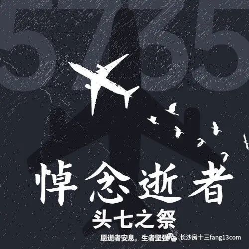 mu5735航班上132人已全部遇难,向遇难同胞致哀!