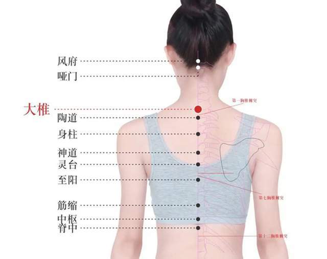 拔火罐这八个重要穴位一定不要错过