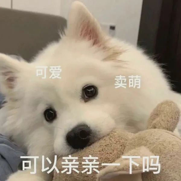 表情包可以亲亲一下吗