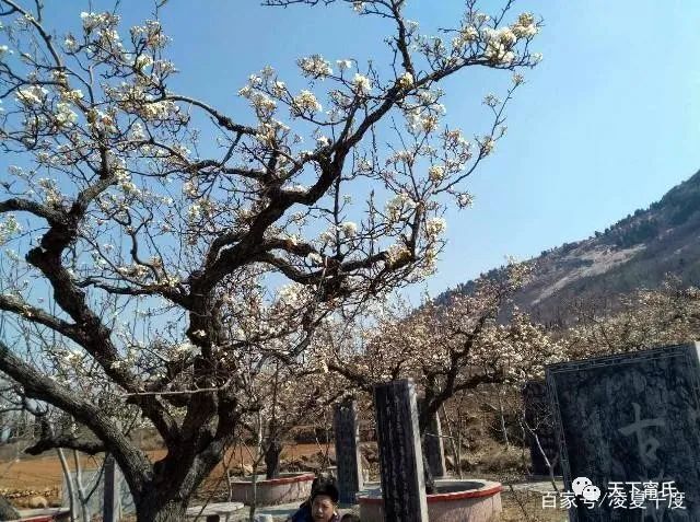 清朝陕西布政使宁之风曾在宁阳神童山读书留下一个美丽的传说
