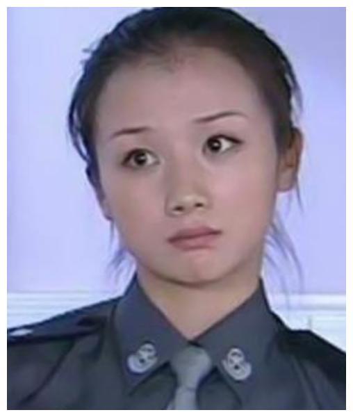 灵气逼人》中扮演岳思盈,李卫当官2》中扮演静公主,在《萍踪侠影她