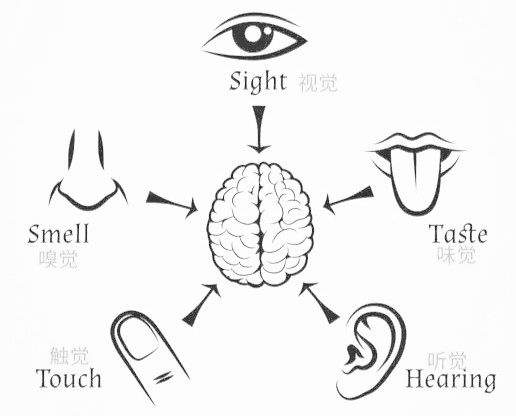 二 , 人体感官根据研究发现果酿液在原料上的选用一般分为半熟,早熟