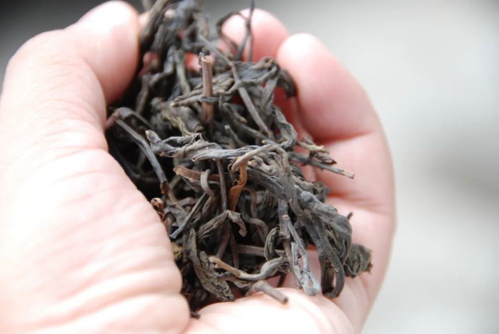 梧州六堡茶公用品牌价值达32.34亿元(图3)