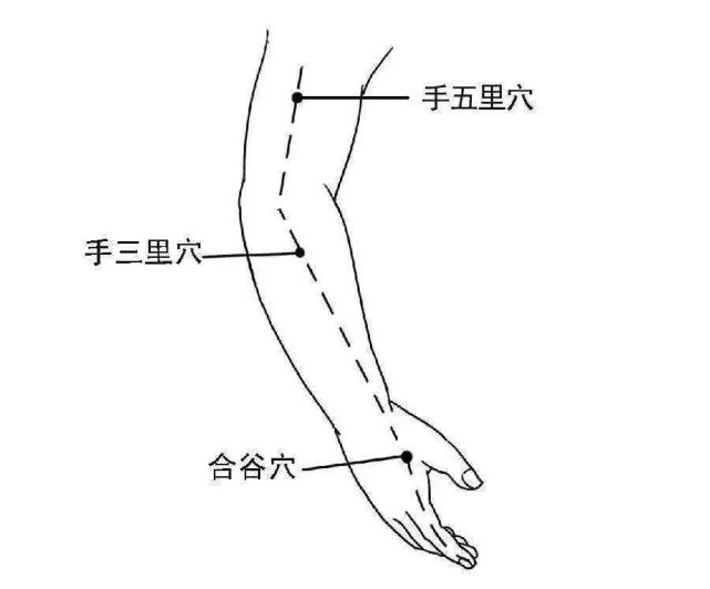 曲池的位置:把胳膊屈曲90°,掌心向下,肘尖和肘关节内侧的横纹的中点.