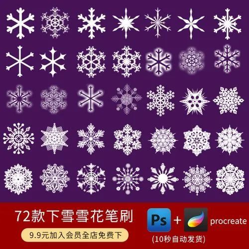素材| 72款雪花冰晶下雪冬季笔刷【第387期】
