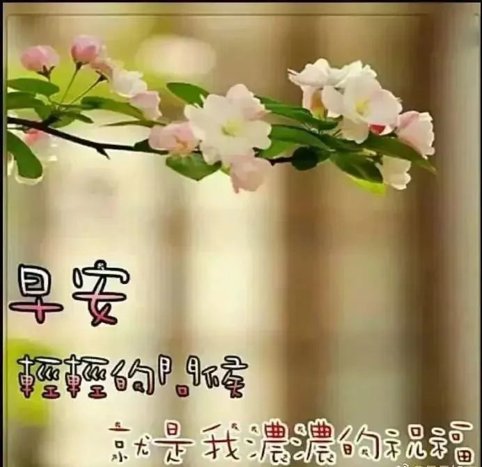 4月11日最有创意好看的春天早上好图片2022唯美春天早安问候祝福精选