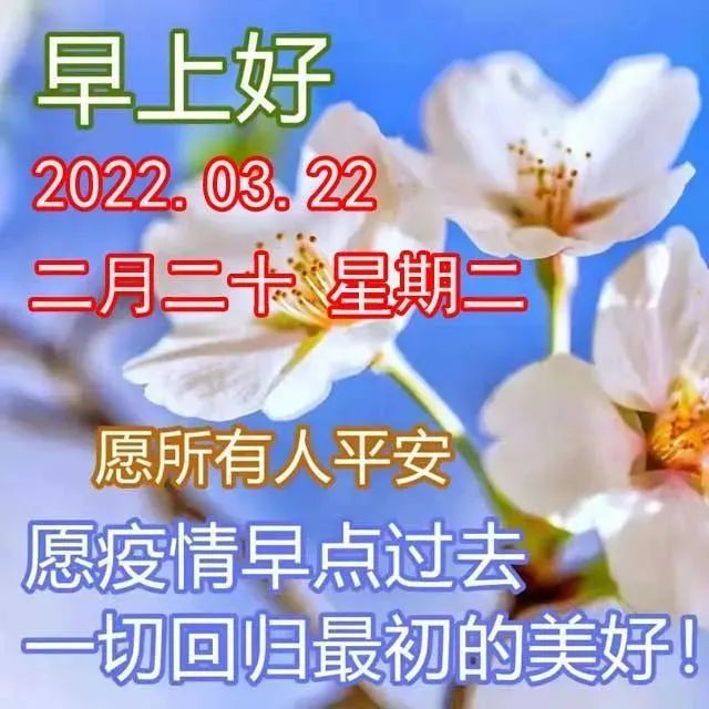 2022年3月29日星期二早上好问候祝福动态表情图片 最新早安问候语动态