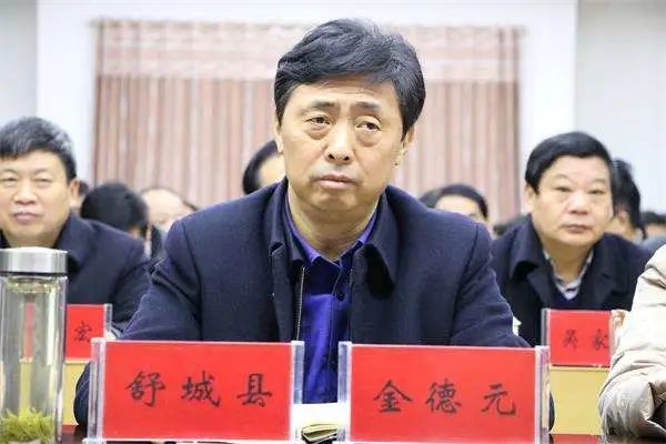 金德元接受审查调查!
