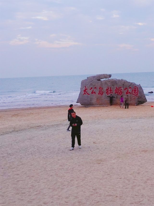 日照太公岛牡蛎公园景点夏日遮天蔽日一望无际的苍郁森林你肯定已经