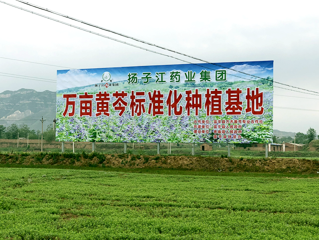在陕,甘,川,渝,湘等省道地药材产区建立了板蓝根,栀子,黄芪等166个中