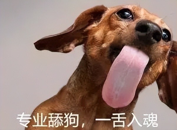 9个字拿捏心仪女神1年狂舔675位女神舔狗之王到底有多厉害