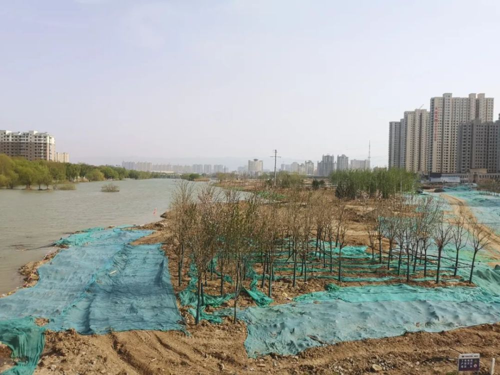 最新运城北城最大湿地公园进展曝光