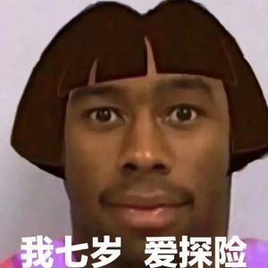 朵拉表情包