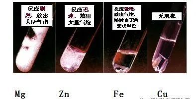 取镁,锌,铁,铜等金属分别与稀硫酸,稀盐酸反应.2.