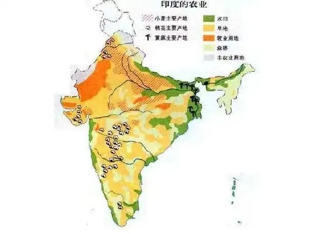 印度能养活多少人口_印度靠什么养活本国13亿7000万人(2)