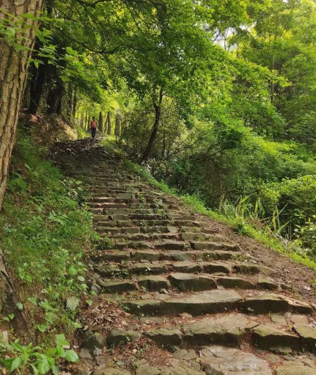 臻曦文化徐霞客古道带你走向山野回归自然