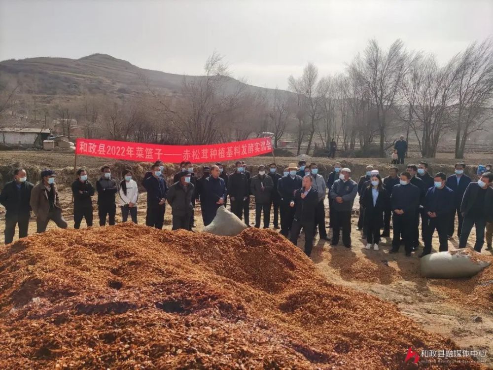 乡村振兴在和政和政把赤松茸种植基料发酵培训送到田间地头