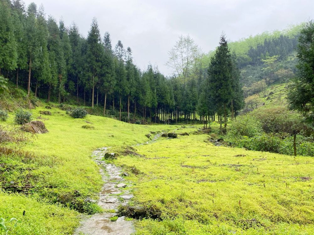 徒步成都大邑龙窝子冒雨行走在人迹罕至的深山野岭中途差点找不到路