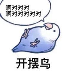 这是什么鸟表情包另一期看主页