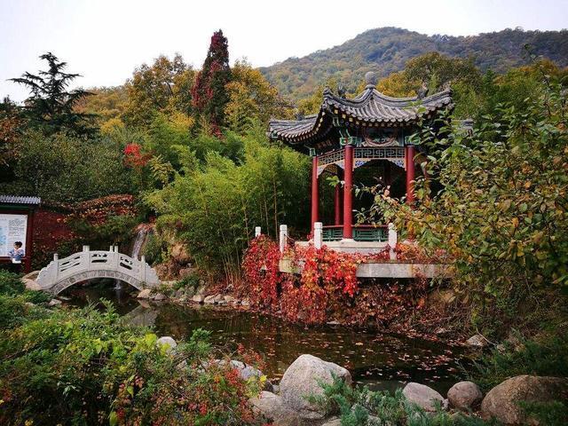 天津市蓟州区的盘山旅游景区,作为一处面积十分庞大的自然旅游景点
